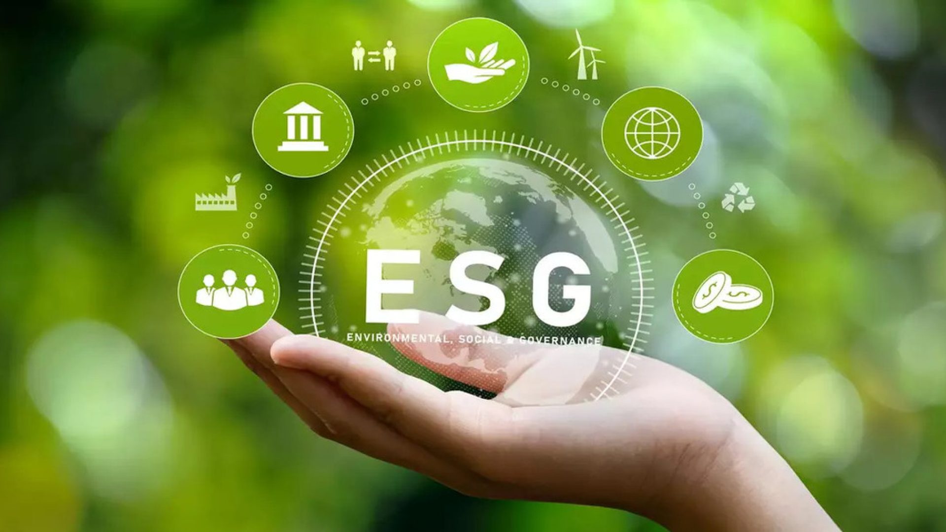 c1926753-0293-41af-a535-1b71fa228aba